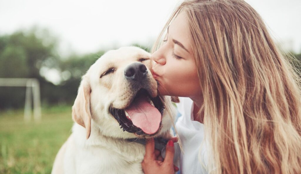 ¿Qué es una mascota de soporte emocional?
