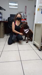 ABRIL VIAJÓ DESDE BOGOTÁ HASTA MIAMI