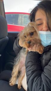 KIMMI VIAJÓ DESDE BOGOTÁ HASTA MONTREAL