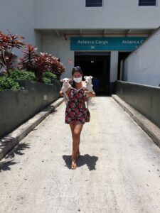 TAQUITO Y CASPER VIAJARON DE BOGOTA A MIAMI