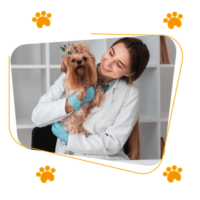 image-service4 image-service4