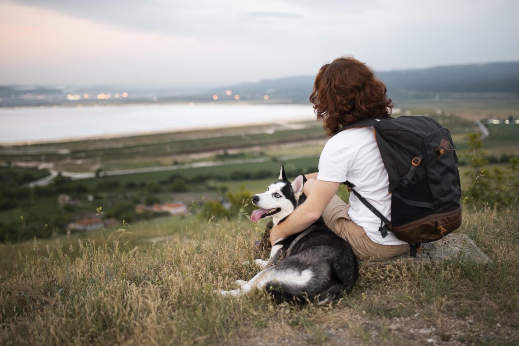 Consejos para mantener a tu mascota segura durante el viaje internacional