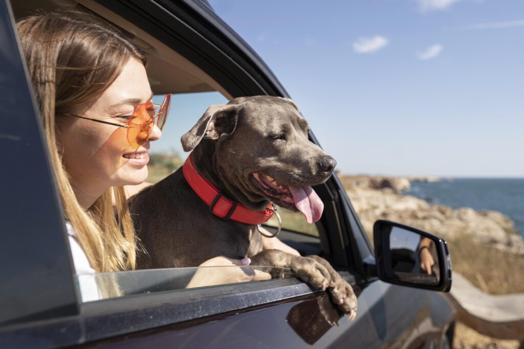 Los Mejores Destinos Internacionales para Viajar con tu Mascota: Guía Pet-Friendly