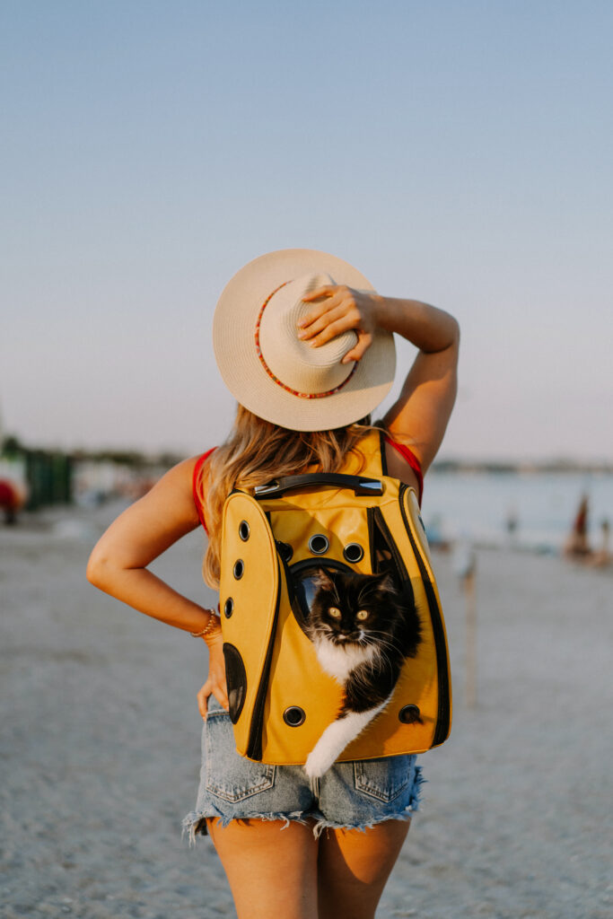 Requisitos Legales y Sanitarios para Viajar con tu Mascota a Otro País: Guía Completa